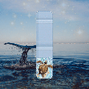 Marque-Pages - Tortue
