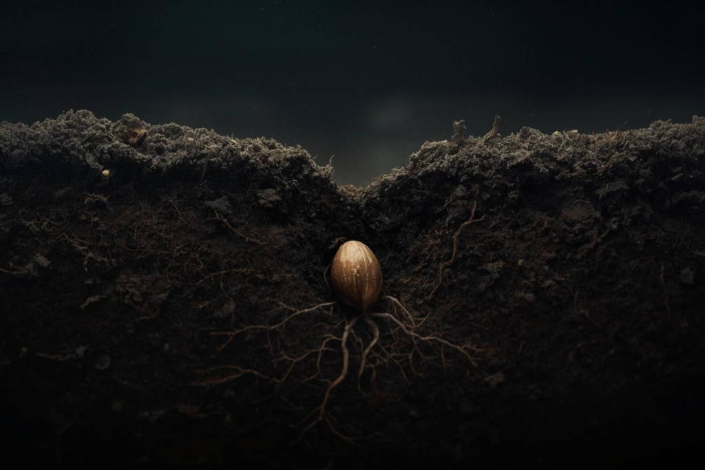 Un conte poétique sur la résilience, le courage intérieur et la force discrète du renouveau. Une histoire douce pour traverser les saisons de doute et croire à la lumière qui germe.