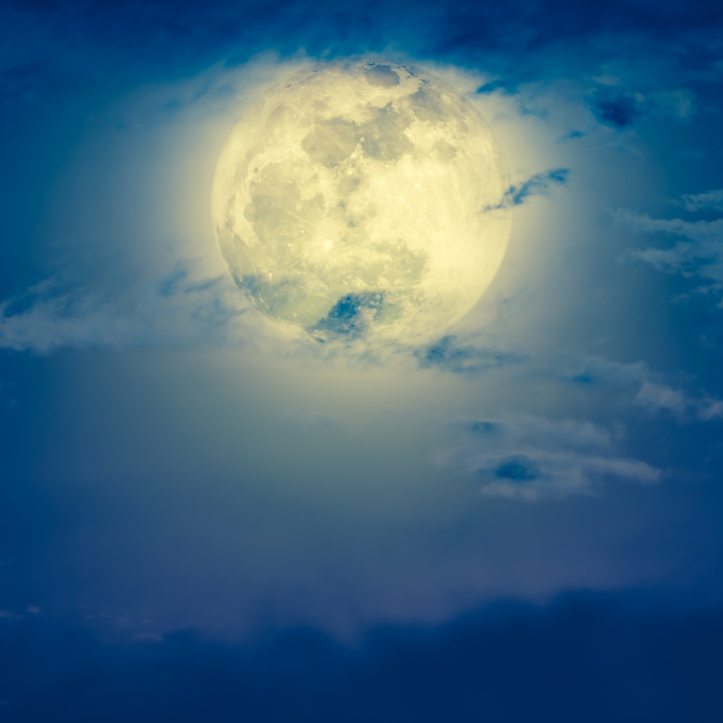 Un rituel de fin de mois doux et sacré pour faire le bilan, libérer l’ancien et inviter le renouveau. Une pratique guidée alignée aux cycles, à la Lune et aux saisons.